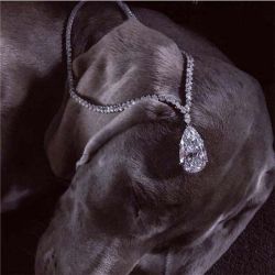 Pear & Marquise Cut Pendant Necklace